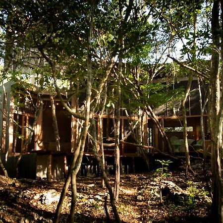 Ojo De Arbol, Boutique Cabin In The Real Jungle Тулум Экстерьер фото