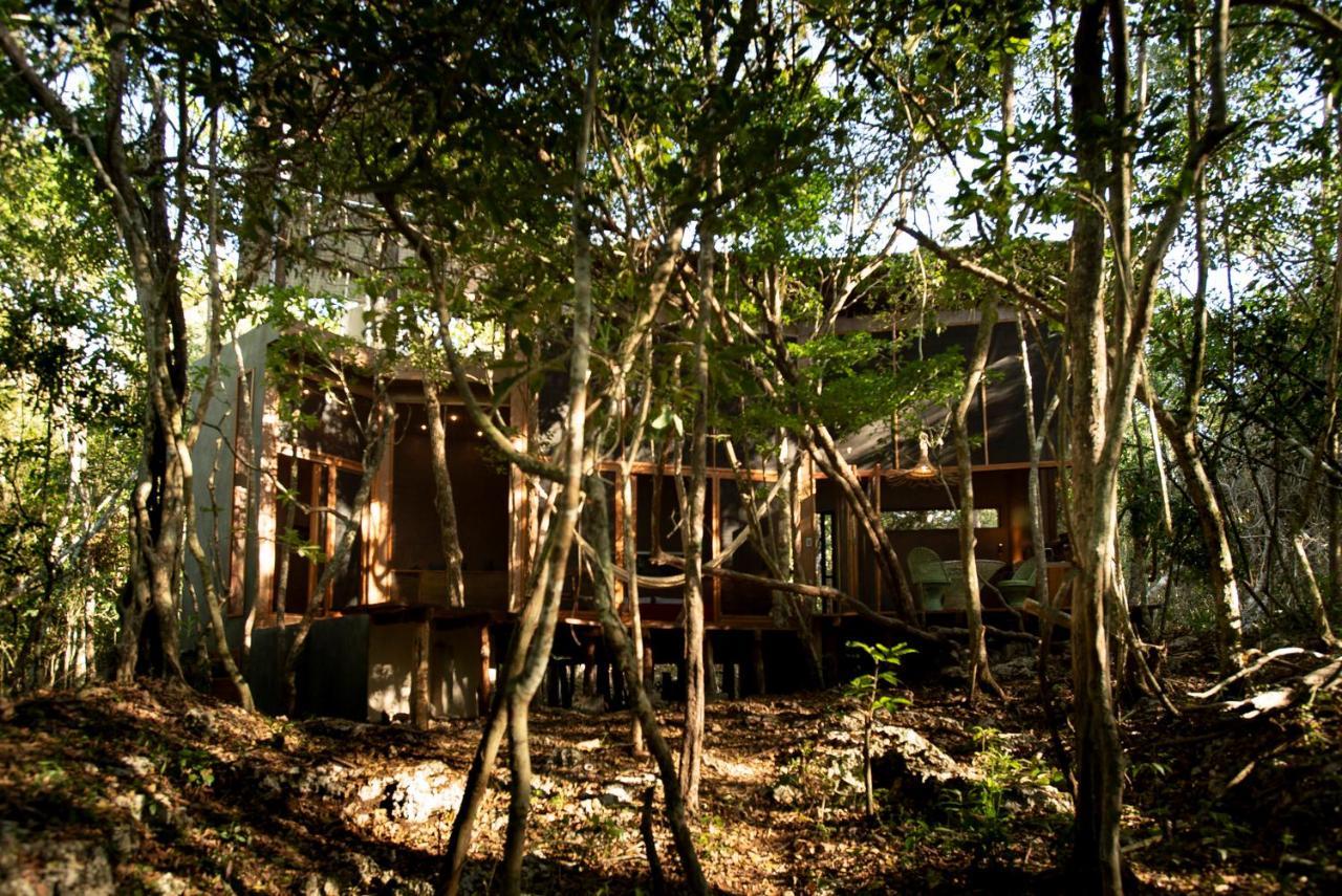 Ojo De Arbol, Boutique Cabin In The Real Jungle Тулум Экстерьер фото