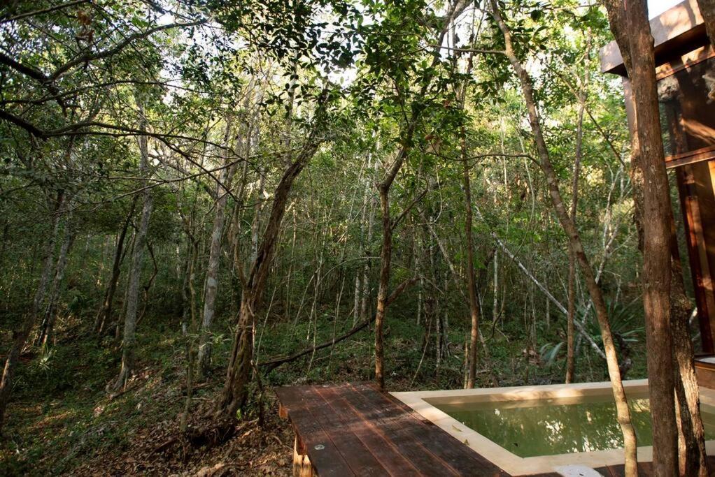 Ojo De Arbol, Boutique Cabin In The Real Jungle Тулум Экстерьер фото