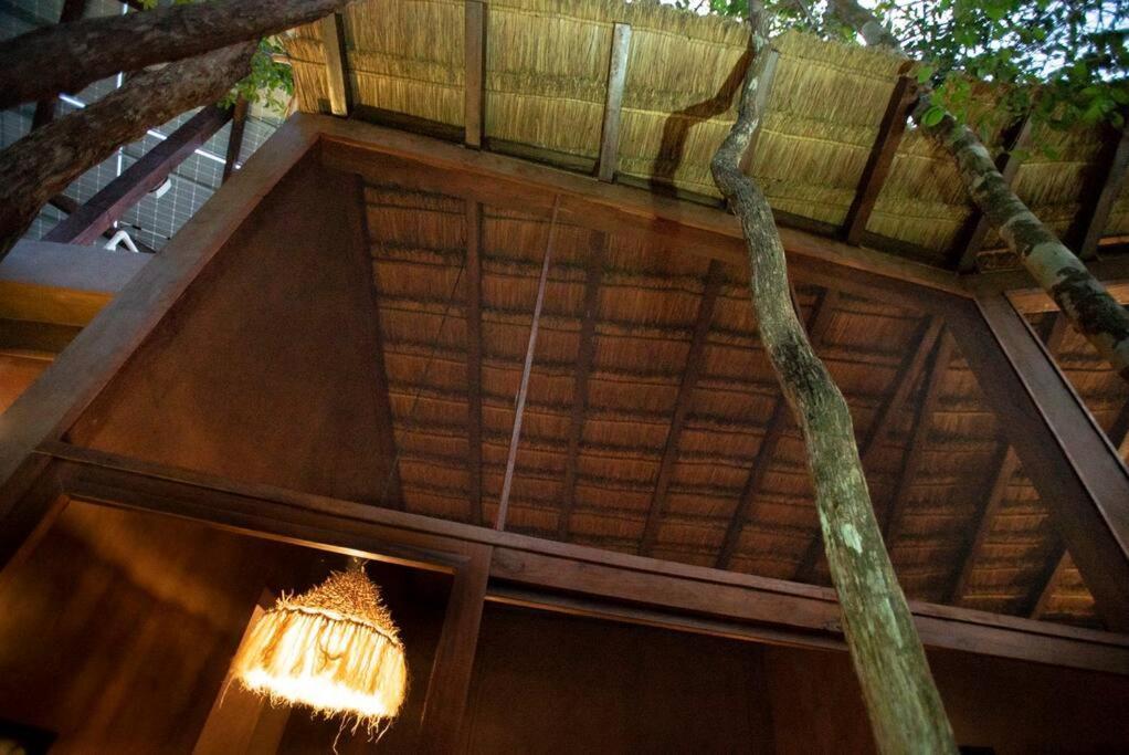 Ojo De Arbol, Boutique Cabin In The Real Jungle Тулум Экстерьер фото