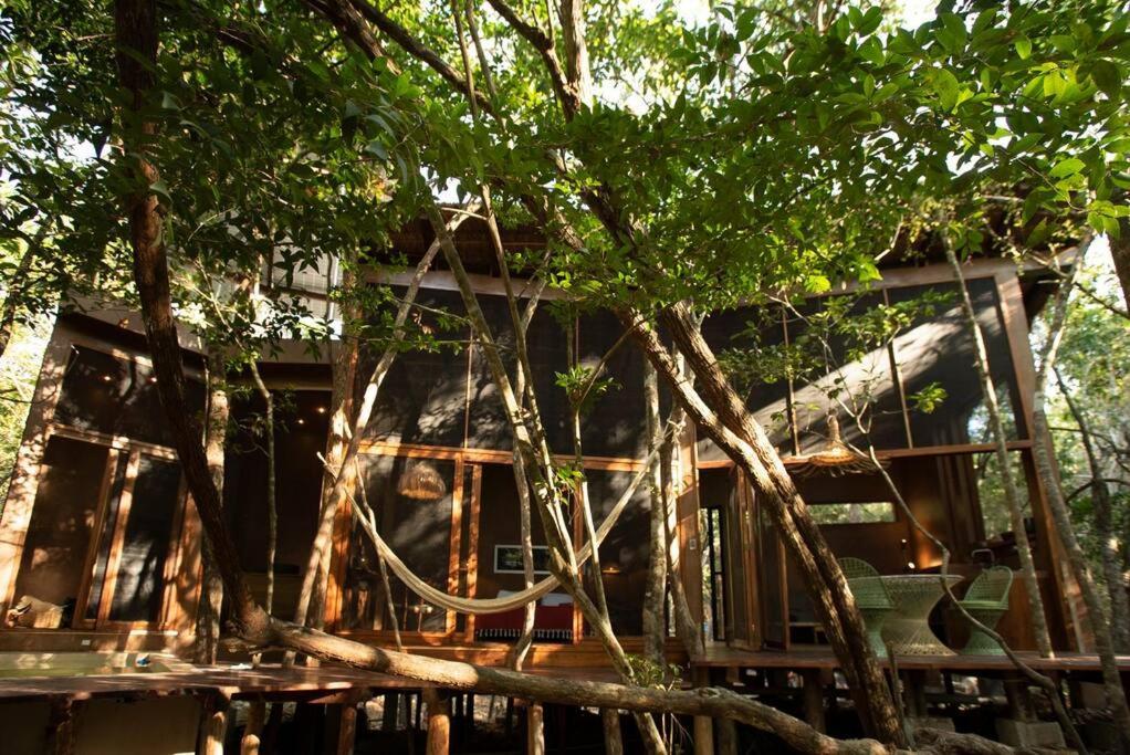 Ojo De Arbol, Boutique Cabin In The Real Jungle Тулум Экстерьер фото