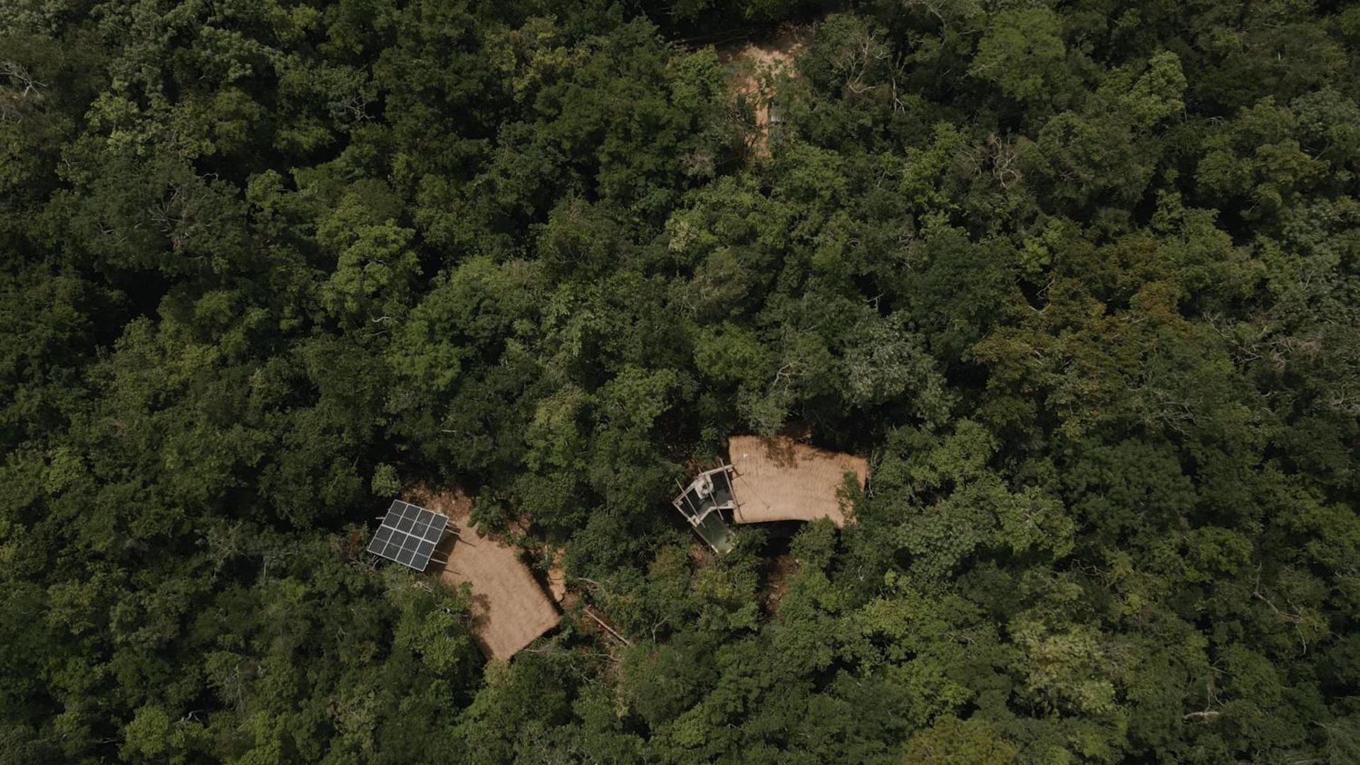 Ojo De Arbol, Boutique Cabin In The Real Jungle Тулум Экстерьер фото